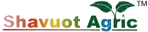 Alefox HTML