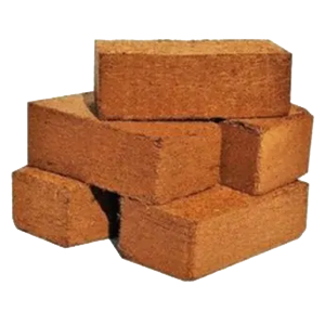 alefox